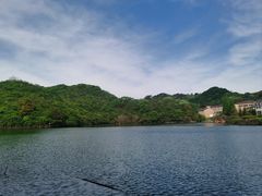 -大围山国家森林公园