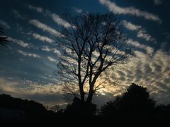 -深业半汤御泉庄温泉