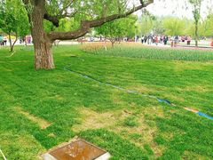 -长春公园(普阳街道)