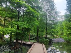 -云溪植物园