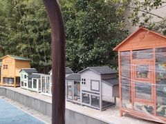 -上海崇明金茂凯悦酒店