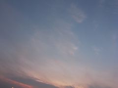 -深圳湾公园(南山区)