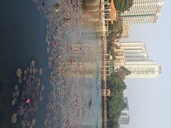 -荔湾湖公园