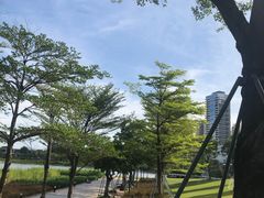 -深圳人才公园