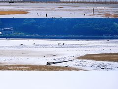 -北岐滩涂