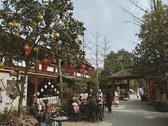 -青城甲(青城山店)