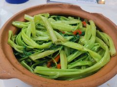虾酱通菜-凤城康记饭店