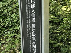 -浮槎山