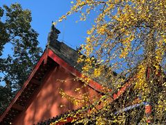 -金堂县云顶石城风景区
