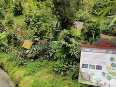 -深圳仙湖植物园