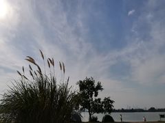 -东湖落雁景区