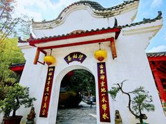 -姑婆山旅游区