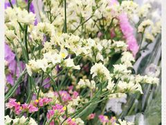 -三圣花乡旅游区