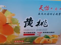 -天怡·鱼工厂(临江店)