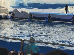 -秦皇岛乐岛海洋王国