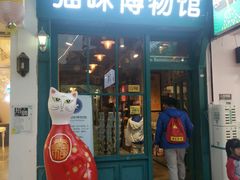 -猫咪博物馆(顶澳仔猫街店)