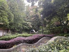 -伯先公园