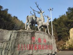 -长沙黑麋峰国家森林公园