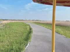 -宁波杭州湾国家湿地公园
