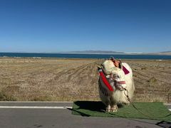 -青海湖国家重点风景名胜区