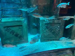 -沈阳海洋探索中心