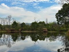 -西溪国家湿地公园