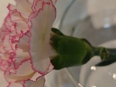 -眉州东坡(望京店)