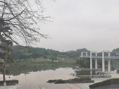 -东莞植物园