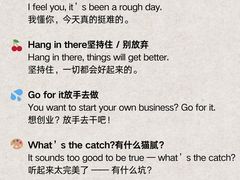 -JT PREP国际学科课程·IB·AP·Alevel(陆家嘴校区)