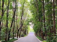 -同里国家湿地公园