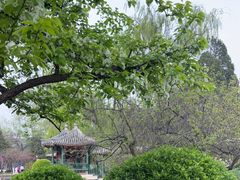 -宣武艺园