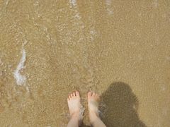 -玫瑰海岸文化旅游度假区