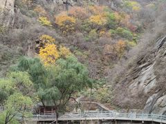 -黑龙潭风景区
