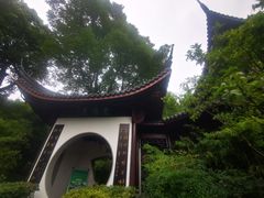 -十八棵（老龙井）御茶园(老龙井店)