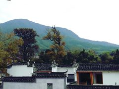 -塔川景区