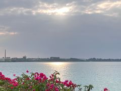 -露天矿生态公园