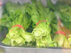 -金张掖麻辣烫(凤城一路店)