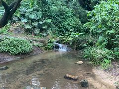 -广州市白云山风景名胜区