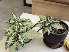 -半岛宠物医院24小时(西派城店)