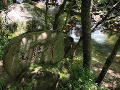 -牛背梁国家森林公园