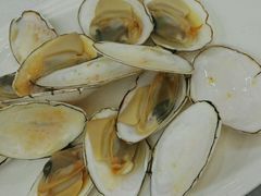 -欢乐海岸美食联盟