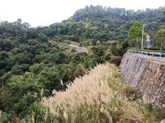 -火炉山森林公园