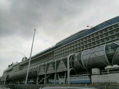 -吴淞口国际邮轮码头-停车场