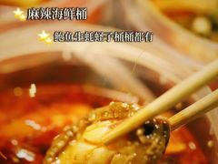 -金龙·打边炉(南京西路店)