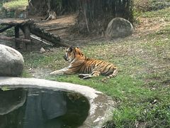 -泉州海丝野生动物世界