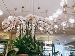-鹿港小镇(霄云店)
