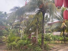-万兴启丰椰子文化园餐厅