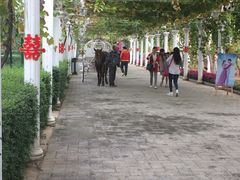 -白鹿原葡萄主题公园