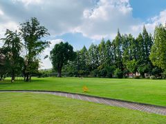 -上海财经大学(国定路校区)
