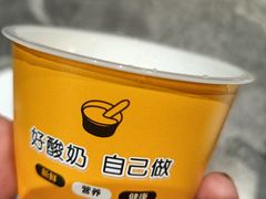 -1937青岛老味道·海肠捞饭·青岛菜(大鲍岛栈桥店)